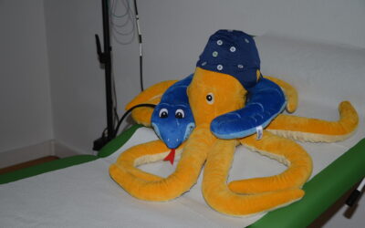 Krake mit Schlange EEG